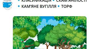 Як рослини заселили Землю   