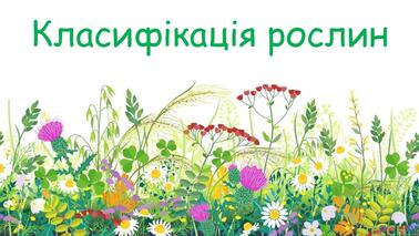 0400oins-6e8c-378x213.jpg