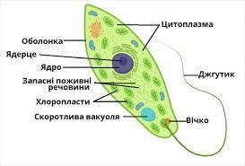 0400oreo-b6cd-273x185.jpg