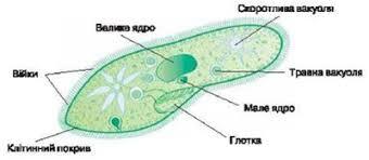 0400orf0-d0d6-340x148.jpg
