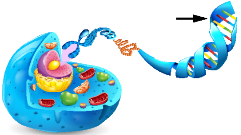 0400osnx-9065-492x275.png