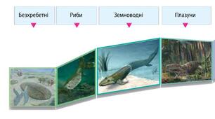 Як тварини заселили Землю.