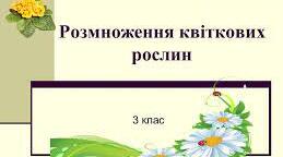 Як розмножуються квіткові рослини