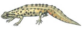 0400ozoa-182e-285x107.jpg