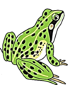 0400ozpp-c962-99x120.png