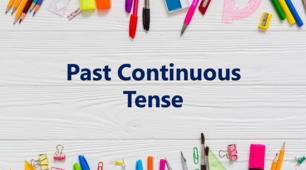 PAST CONTINUOUS or PAST SIMPLE?