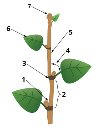 0400p6dl-21f3-300x414.png