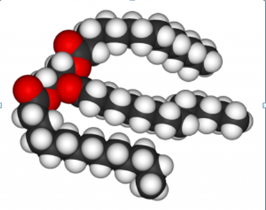 0400pcm1-d482-383x303.png
