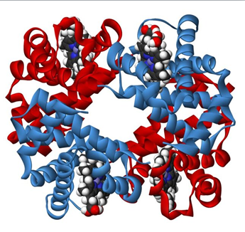 0400pcpd-6c47-345x326.png
