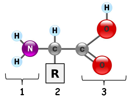 0400pd0c-f2b5-432x334.png