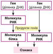 0400pdc2-3a35-177x181.jpg