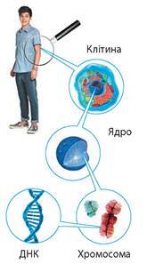 0400pdc3-36c9-165x297.jpg