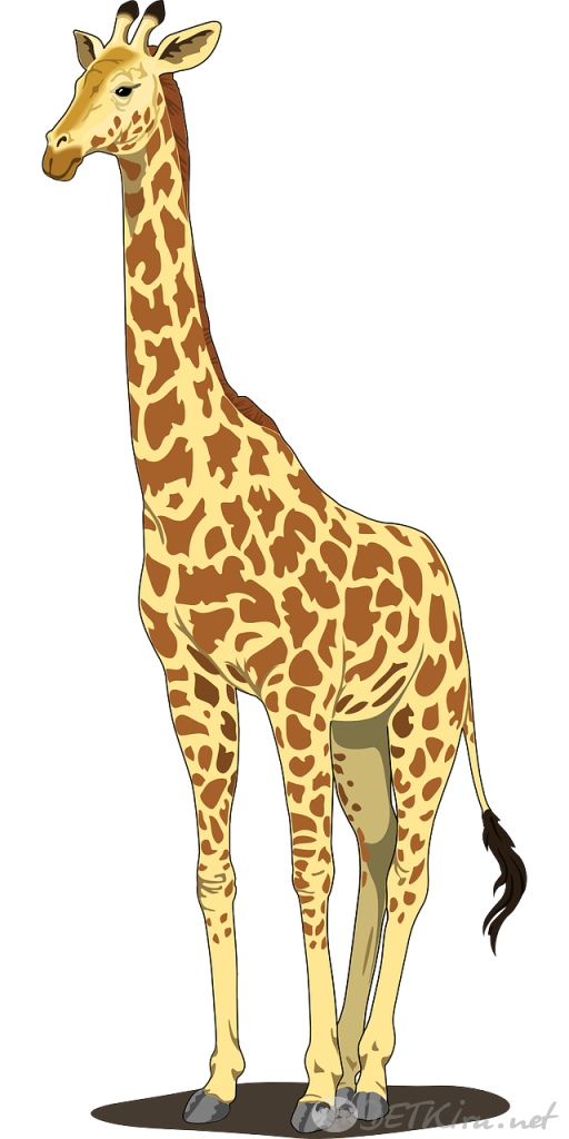 0400pe0n-62b6-512x1024.png