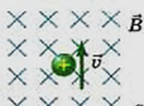 0400pf78-45a2-205x151.png