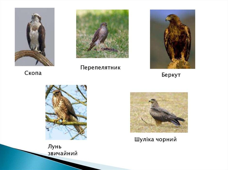 0400pg1u-6e08-940x704.jpg