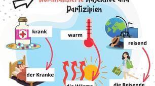 Die Deklination der substantivierten Adjektive und Partizipien