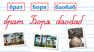 Літера Бб. Тренувальні вправи