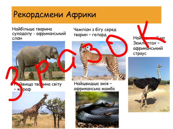 0400pq48-0749-562x420.png
