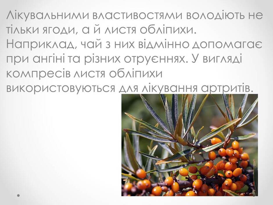 0400pqnr-2944-940x705.jpg