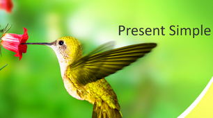Презентація граматичної теми "Present Simple"