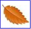 0400prrn-e169-147x137.png