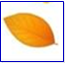 0400prsi-c573-157x152.png