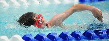 Go Swimming Subiaco updated their... - Go Swimming Subiaco