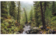 0400ptb7-1b04-180x115.png