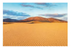 0400ptcp-842a-236x158.png