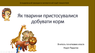 Презентація на тему ''ЯК ТВАРИНИ ПРИСТОСУВАЛИСЬ ДОБУВАТИ КОРМ''