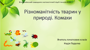 Презентація на тему ''КОМАХИ.Різноманітність тварин у природі.''