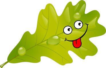 0400pvnq-82de-370x240.jpg