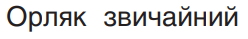 0400pvuc-6c0e-248x39.png