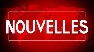 Les nouvelles insolites