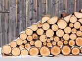 Озвучено ціни на дрова в України – AgroNews