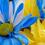 Сидорчук Аліна Валентинівна