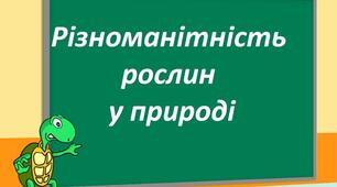(Копія) Різноманітність рослин у природі