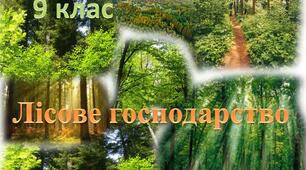 Лісове господарство