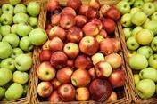 Picture Of A Lot Of Apples In Supermarket Stock Photo, Picture And Royalty Free Image. Image 76464624.