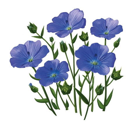 0400q6g9-b655-468x428.png