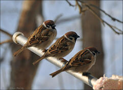 0400q6th-e0cd-241x176.jpg