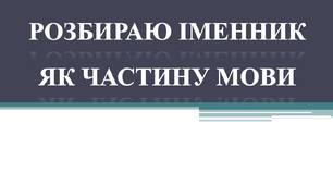 Розбираю іменник як частину мови