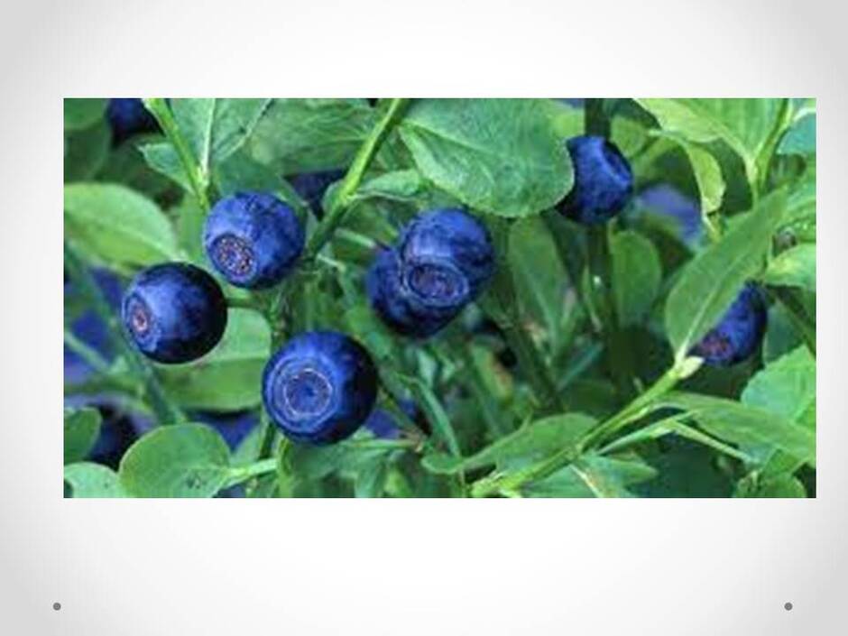 0400qenh-1a59-940x705.jpg