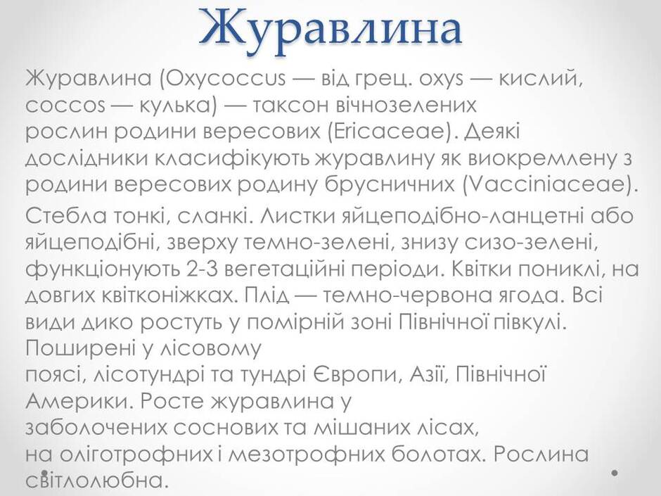 0400qenw-c6ca-940x705.jpg