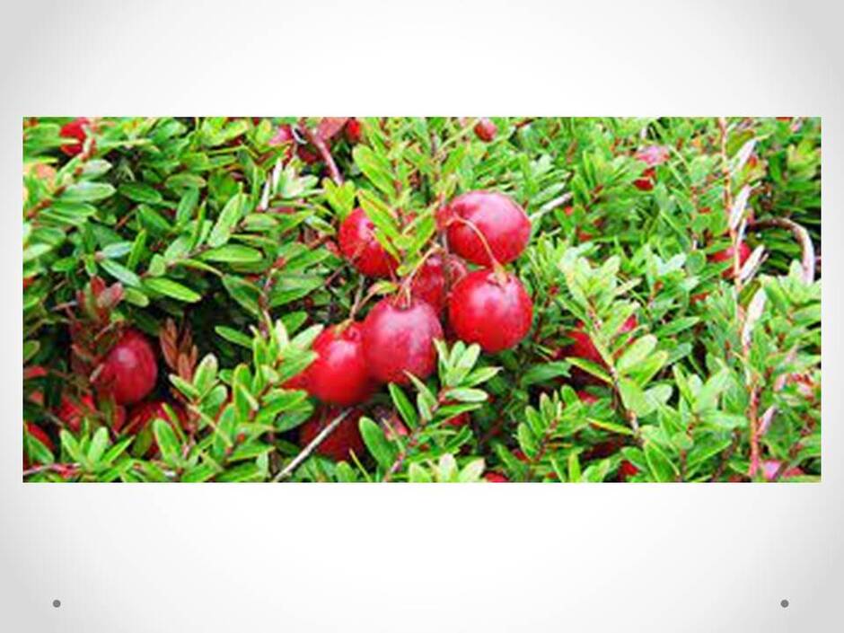 0400qenx-bcf9-940x705.jpg