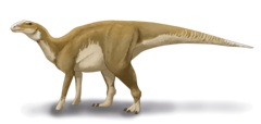 0400qffl-c7b8-240x114.png