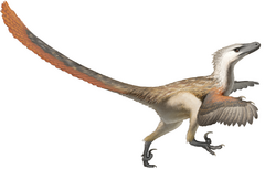0400qfkg-62c7-240x153.png