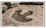 0400qfxp-f51d-515x314.png