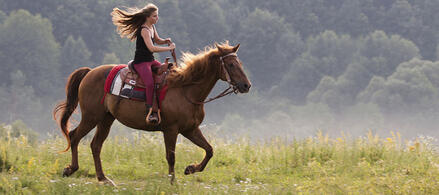 0400qiry-2996-439x195.jpg