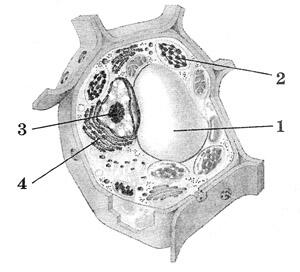 0400qnzx-0c09-300x272.jpg